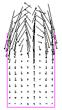 pept1.gif