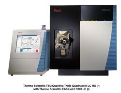 盘点2013年上半年质谱新品