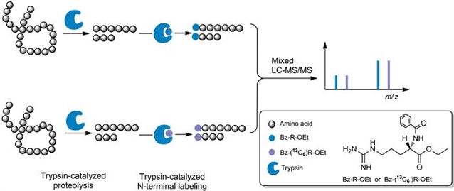 定量蛋白质组学新技术新方法研究获新进展