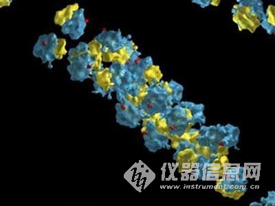 科学家用质谱实现大规模标准化蛋白质检测