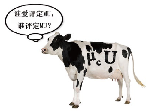 测量不确定度调查2015：全球性调查结果