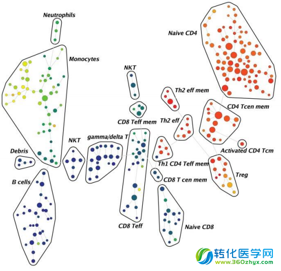 质谱流式技术在TIL研究中的应用