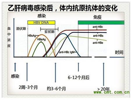 抗HBc阴性的慢性HBV感染