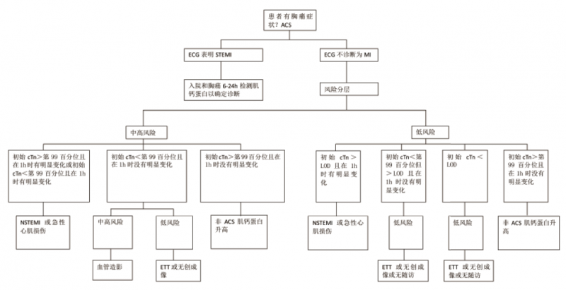 高敏肌钙蛋白检测：实验室和临床医生面临的挑战和机遇