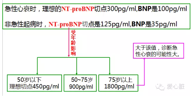来这里轻松学习BNP