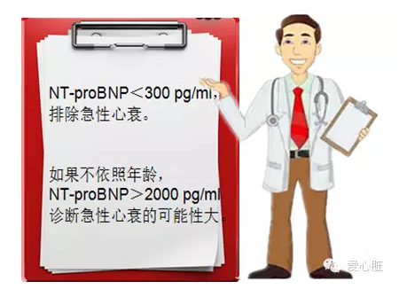 来这里轻松学习BNP