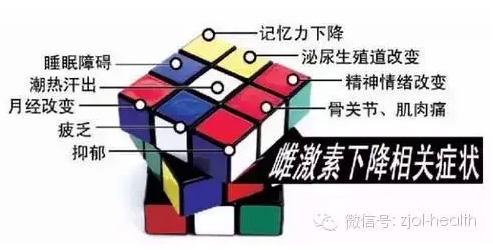 女人居然是激素做的！几张图教你读懂性激素