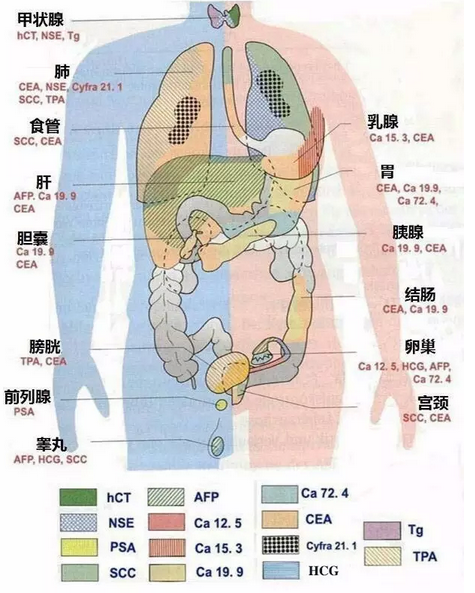 令人眼花缭乱的肿瘤标志物