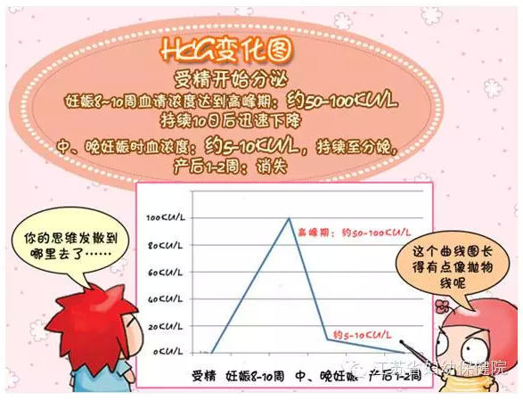 扒一扒“HCG”的真面目