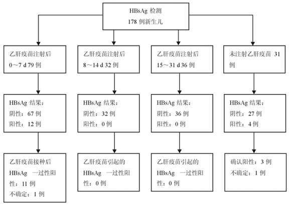 乙肝疫苗接种后新生儿乙型肝炎表面抗原一过性阳性的研究