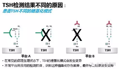 甲状腺功能检测的那些事