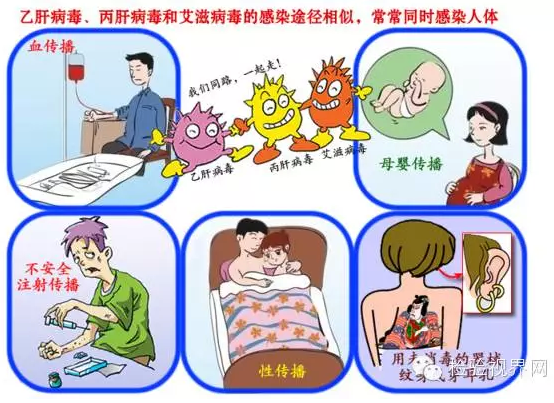 丙型肝炎是如何传播的？