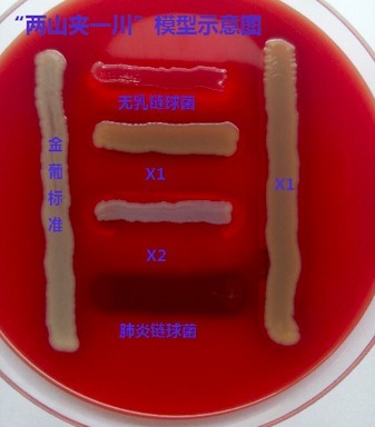 巧用血平板 99% 的人没见过