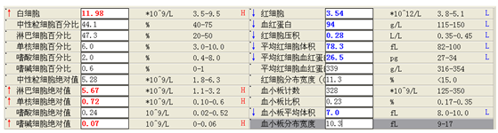 检验之手，能有多快？