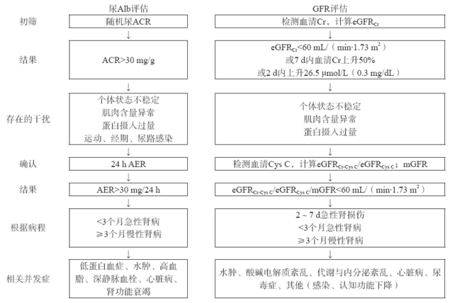 尿白蛋白在成人肾病诊疗中的应用