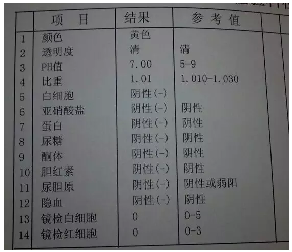 一文读懂尿常规报告单