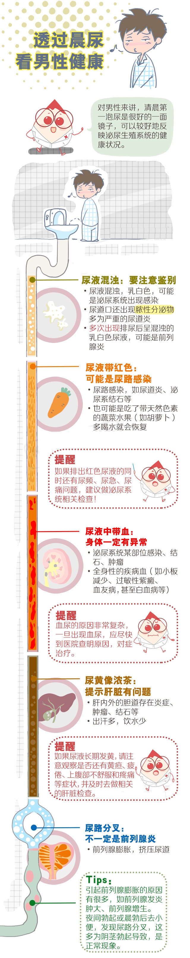 透过晨尿看男性健康