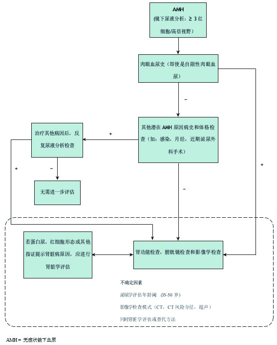 血尿作为隐性尿道癌标志物的7条建议