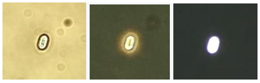 1.11
