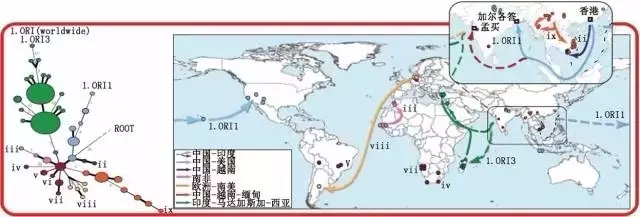 换个角度看幽门螺杆菌