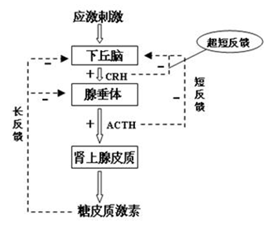 高血压实验室诊断的五大“法宝”